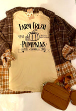Load image into Gallery viewer, Farm fresh pumpkins screen print shirt
