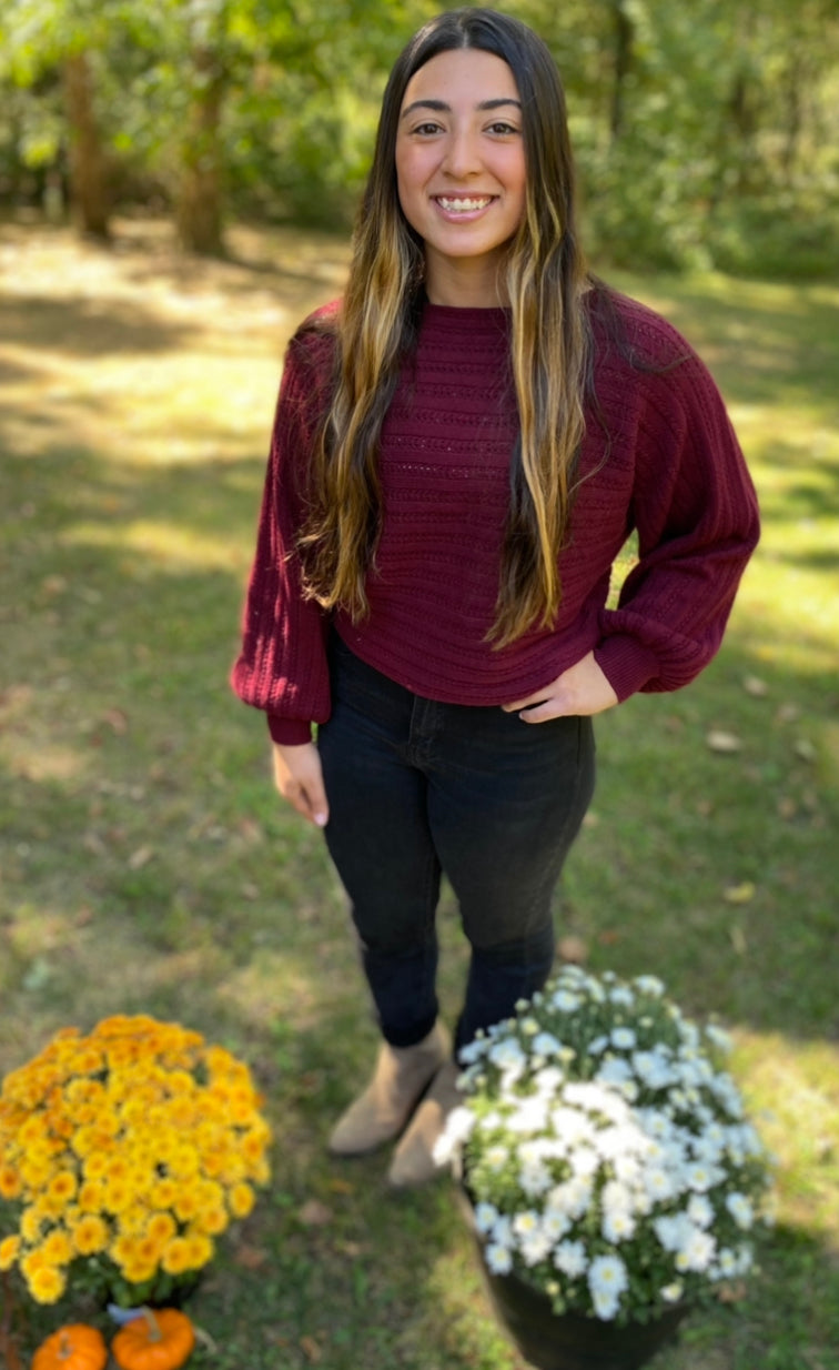 Burgundy sweater